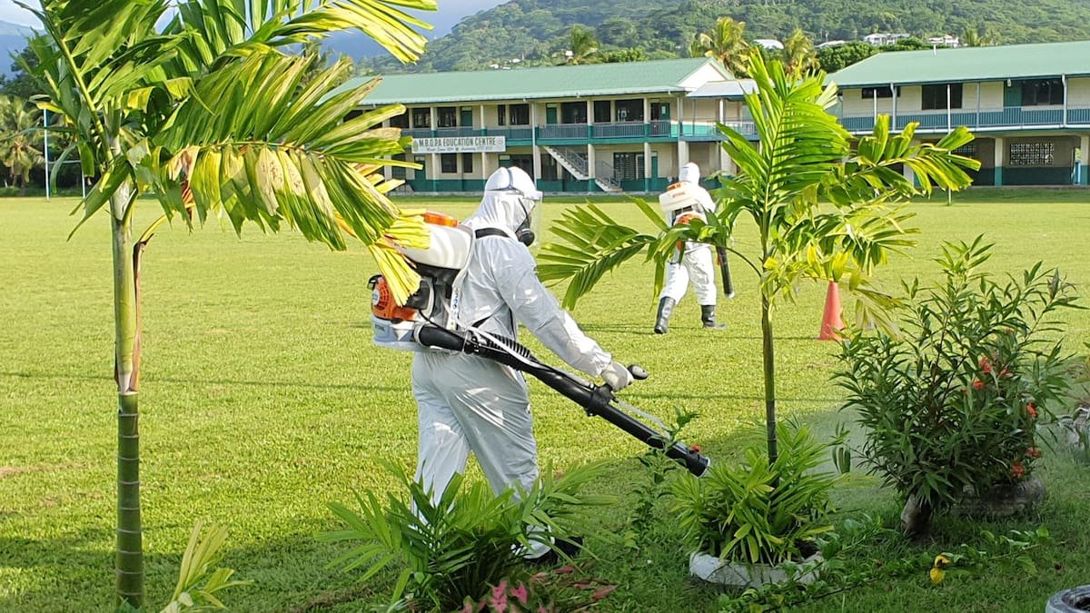 Samoa dengue fever outbreak: Fumigation efforts ramp up, travellers advised to get medical insurance